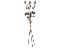 Countryfield Kunsttak Decoratie Larix Bruin 64x12x6cm Kerst
