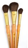 Crafter's Choice Pinceau rcc231 Camel Set