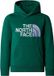 The North Face Drew Peak P/O Casual Sweater Jongens Groen 164