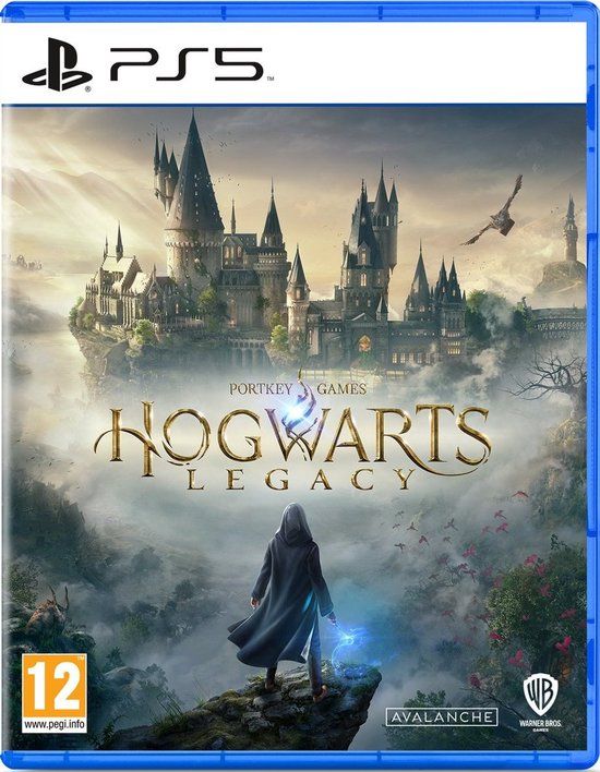 Warner Bros. Entertainment Hogwarts Legacy - PS5 - Standard Edition