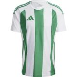 adidas T-shirt Heren Striped 24 Jersey Wit-Groen - Maat XL