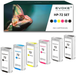 Evoke Compatible Ink for HP 72 6X: Cyan, Magenta, Yellow, Photo Black, Matte Black, Grey 780 ml Designjet T610 T620 T770 T790 T795 T1100 T1120 T1200 T1300 T2300