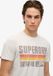 Superdry Japan T-shirt Hommes Coupe décontractée Rayures Gris Glace Marl 3XL