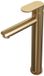Brauer Gold Edition Verhoogde Opbouw Wastafelmengkraan Model C Goud Geborsteld PVD