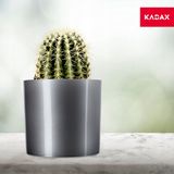 Merkloos Bloempot Cilindrisch - Plantenbak Decoratief - Planten Verrijken - Glanzende Afwerking - Diameter 12.7 cm - Zilver