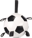 Flamingo hondenspeelgoed – drijvende voetbal hond – interactief waterspeelgoed met handvatten – Towa Voetbal Wit & Zwart – Ø 19 cm