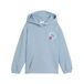 PUMA Sweatshirt lichtblauw / gemengde kleuren