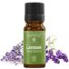Mayam Huile essentielle de lavande, M-1033, 10 ml