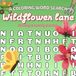 Cozy Word Search WILDFLOWER LANE: 50 cute & comfy coloring word search puzzle for adults, teens and kids. Relaxation and stress relief