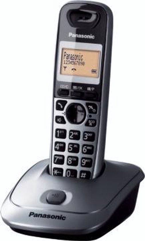 Panasonic KX-TG2511JTM - Snoerloze telefoon met nummerherkenning/wachtstand - DECT\GAP - metallic grijs