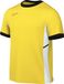 NIKE M Nk Df Acd25 Ss Top heren Shirt