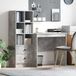 Prolenta Maison Exclusive - Schreibtisch Beton Grau 125,5 x 50 x 127 cm 2 stk.