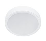 Philips Hue Philips Meson Functioneel Downlight 23.5W LED Wit 4000K 222mm