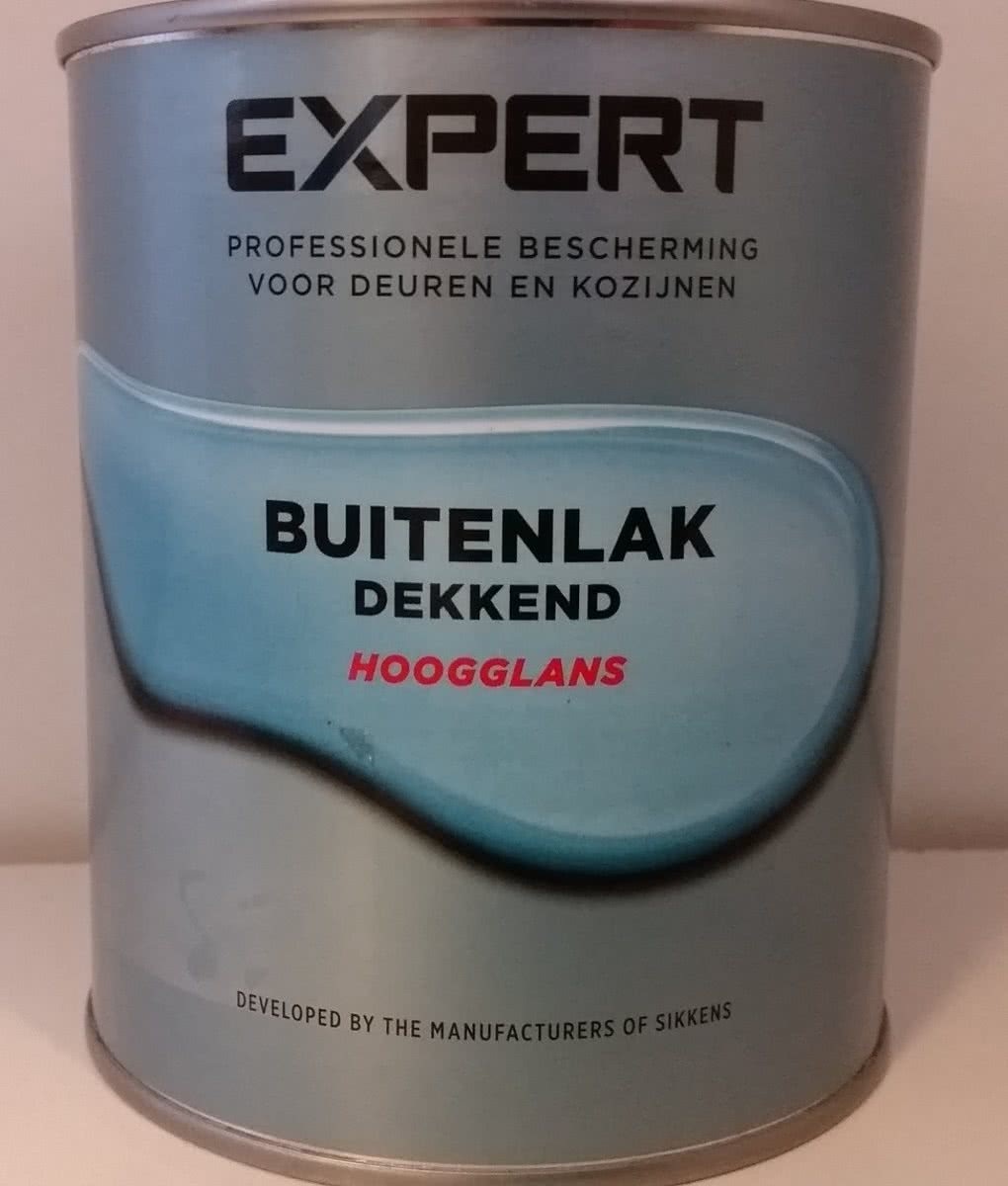 Expert Buitenlak Hoogglans - Loodgrijs - 0 75 L