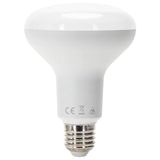 Blendend Led R80 E27 12W