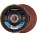 Rhodius 202857 LSA F1 disque lamelle 80 Acier 10 pièce(s)