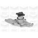 Graf Pompe à eau, Refroidissement du moteur Graf PA917 Ford USA 18-1075 3382081 T2164