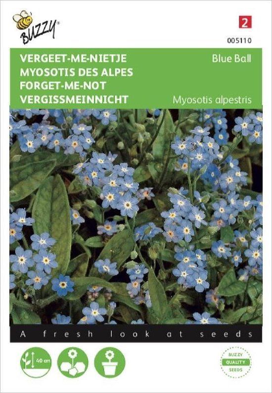 Buzzy Myosotis alpestris (vergeet-me-nietje) blauw bloemzaad