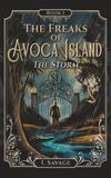 The Storm: A Southern Gothic Paranormal Mystery