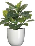 Mica Decorations Kunstplant Philodendron - groen - 49 cm - in bloempot - wit