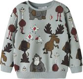 NAME IT Jongens Sweater NMMRAD LS NREG SWEAT BRU BOX Maat 92