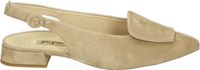 Paul Green 6090 - Pumps - Taupe - Maat 37.5
