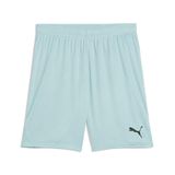 Puma TeamGoal Shorts 705752 Heren L Modern Mint