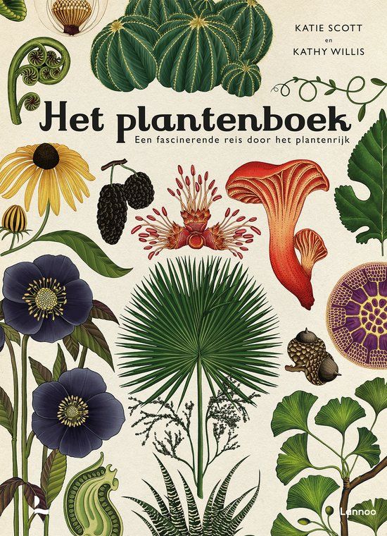 Het Lannoo Het plantenboek