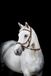 Horseware Micklem Multi Bridle 2.0 Bruin