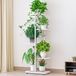 Merkloos / Sans marque Brisakys Plantenrek 5 Etages - Binnen - buiten -Plantenrek Etagere Metaal - Plantentrap - wit- 41x22x98CM