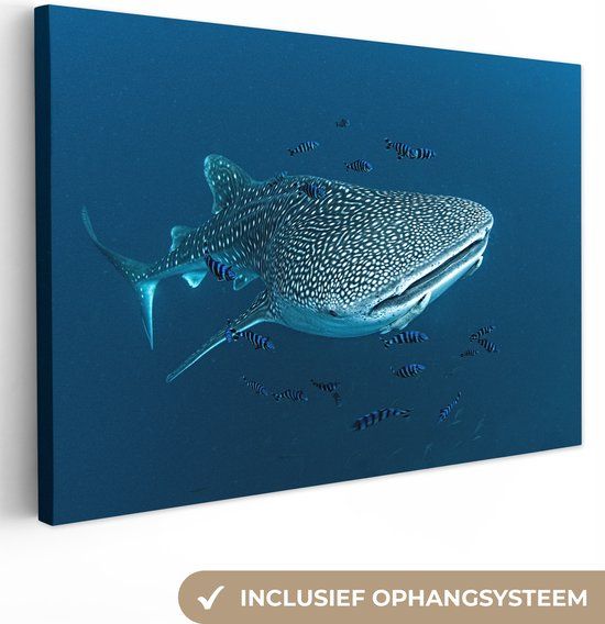 OneMillionCanvasses Canvas schilderij 150x100 cm - Walvishaai met stippen - Multicolor - Rechthoek