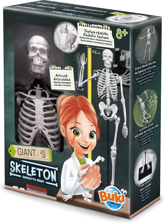 Buki France Skelet 45cm Meerkleurig Kunststof Biologie USB