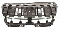PRASCO Halter, Kühlergitter RN0382102 | Compatibel met: RENAULT SCÉNIC III