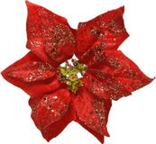 Merkloos / Sans marque Kaemingk B.V. 1x stuks decoratie bloemen kerststerren rood glitter op clip 20 cm