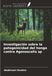 Investigación Ediciones Nuestro Conocimiento Investigación sobre la patogenicidad del hongo contra Agonoscelis sp Paperback