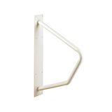 Homecraft Stalen grijpstang, veiligheidsrail en mobiliteitshulp voor badkamer en douche, ouderen, gehandicapten en gehandicapten gebruikersondersteuning, bevestiging binnen en buiten