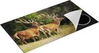 Chefcare Inductie Beschermer Twee Herten in het Bos met Grote Gewei - 95x55 cm - Multicolor