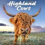 Avonside Schotse Hooglanders Kalender 2027