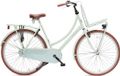 Antilope Cargo X1 Plus Transportfiets 28 Inch Mat Lichtgroen