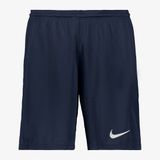Nike Park III Sportbroek Mannen - Maat M - Donkerblauw