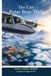 The Last Polar Bear Trail