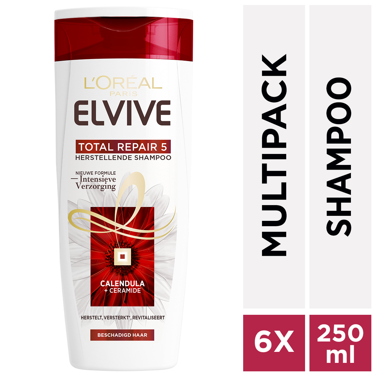 L'Oréal Total Repair 5 Elvive Total Repair 5 - 6 x 250 ml - Shampoo - Voordeelverpakking