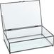 VT Wonen collectie Opbergbox / Vitrine Metaal/Glas Zwart 21x33x9cm