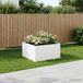 VidaXL Plantenbak wit 60 x 60 x 40 cm koudgewalst staal
