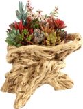 Plantenbak vintage bois flotté - plante grasse artificielle - marron