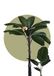Komar Botanische Garden Palmboom Muurfoto - 50 x 70 cm