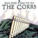 Pan Pipe Tribute To The Corrs