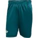 Adidas Pro Climacool Ergo Shorts Aurora Ivy