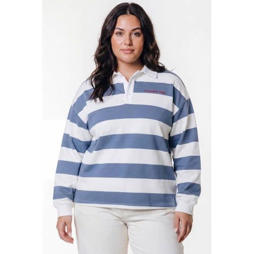 Colourful Rebel Curve gestreepte top met backprint blauw