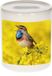 Bellatio Decorations Shoppartners Bv Dieren blauwborst vogel foto spaarpot 9 cm jongens en meisjes - Cadeau spaarpotten blauwborst vogel vogels liefhebber